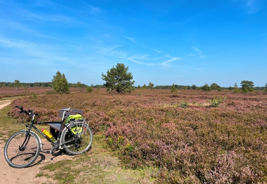 23-09-11 13-04-45 6685